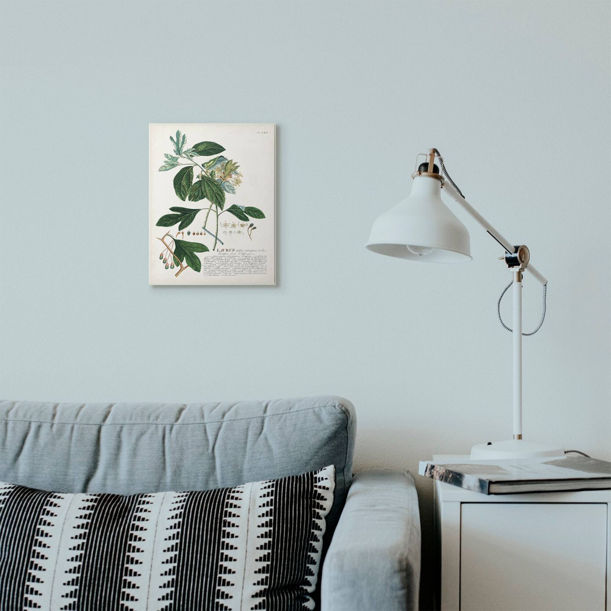Stupell Industries Botanical Plant Lavrvs Illustration Wall Art Plaque